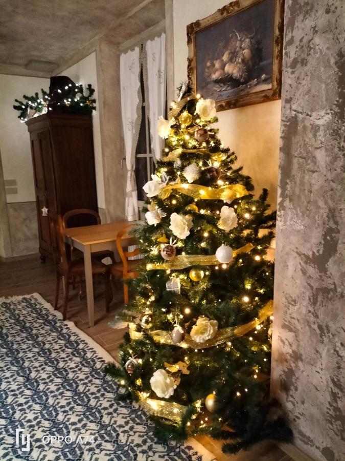 B&B Sasso Di Rocca Gaggio Montano ภายนอก รูปภาพ